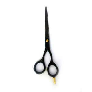 Titanium Coated Scissor